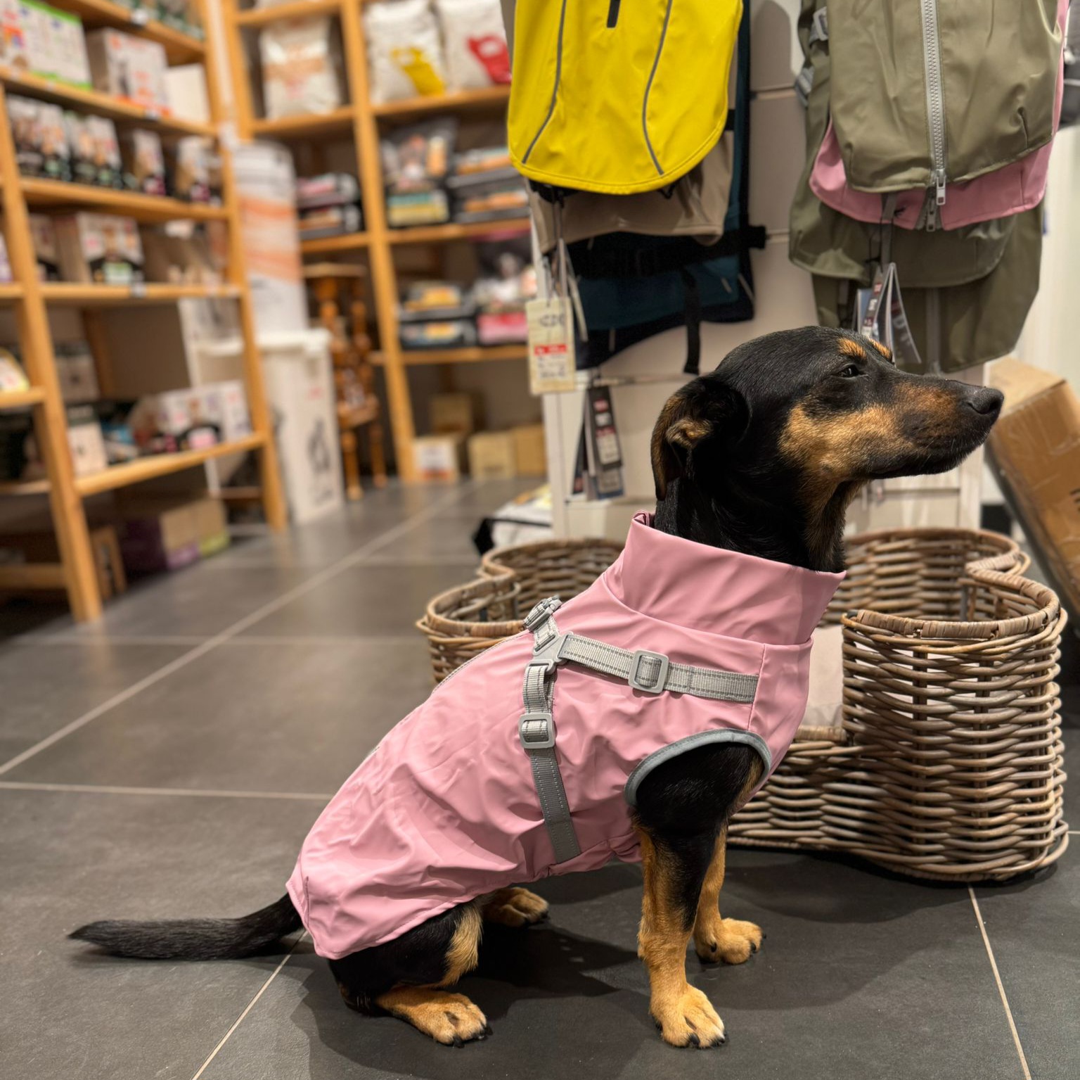 Beanie en manteau Trixie à La Ménagerie