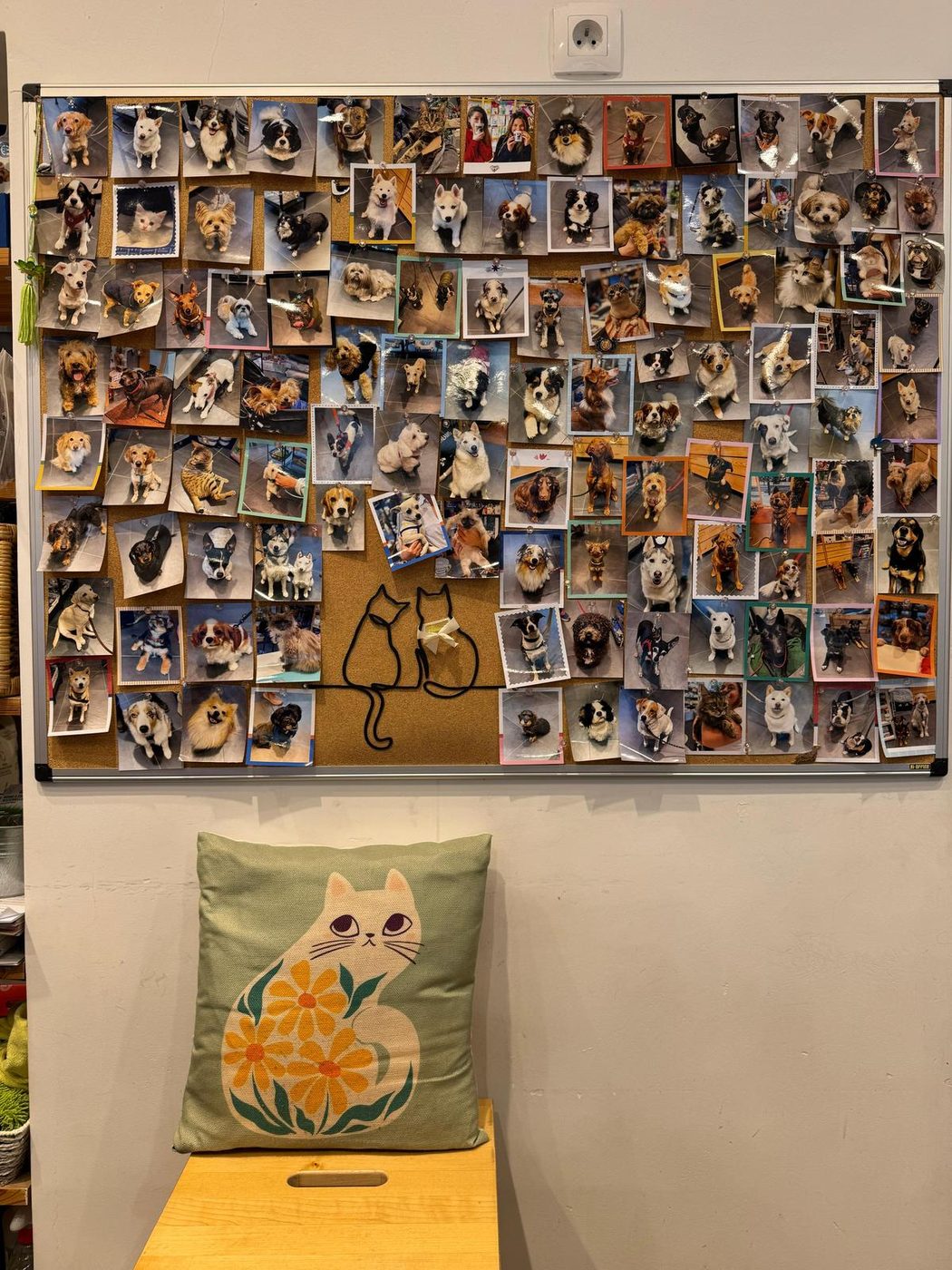 Mur photos animaux clients St Mandé